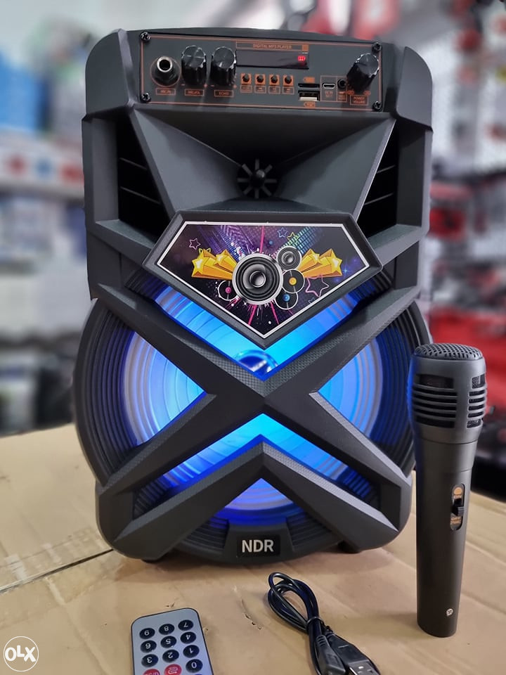 BLUETOOTH KARAOKE ZVUCNIK 800W PROFI