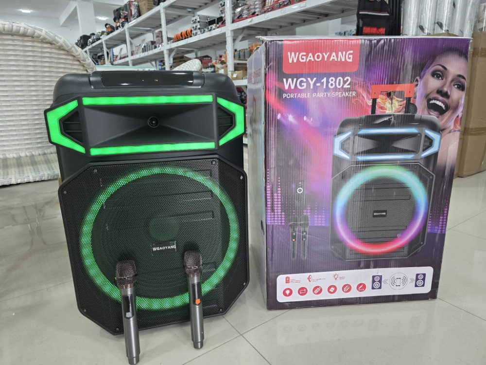 BLUETOOTH ZVUCNIK MEIRENDE LIGHTSHOW 18 inci WGY-1802 2 MIKROFONA