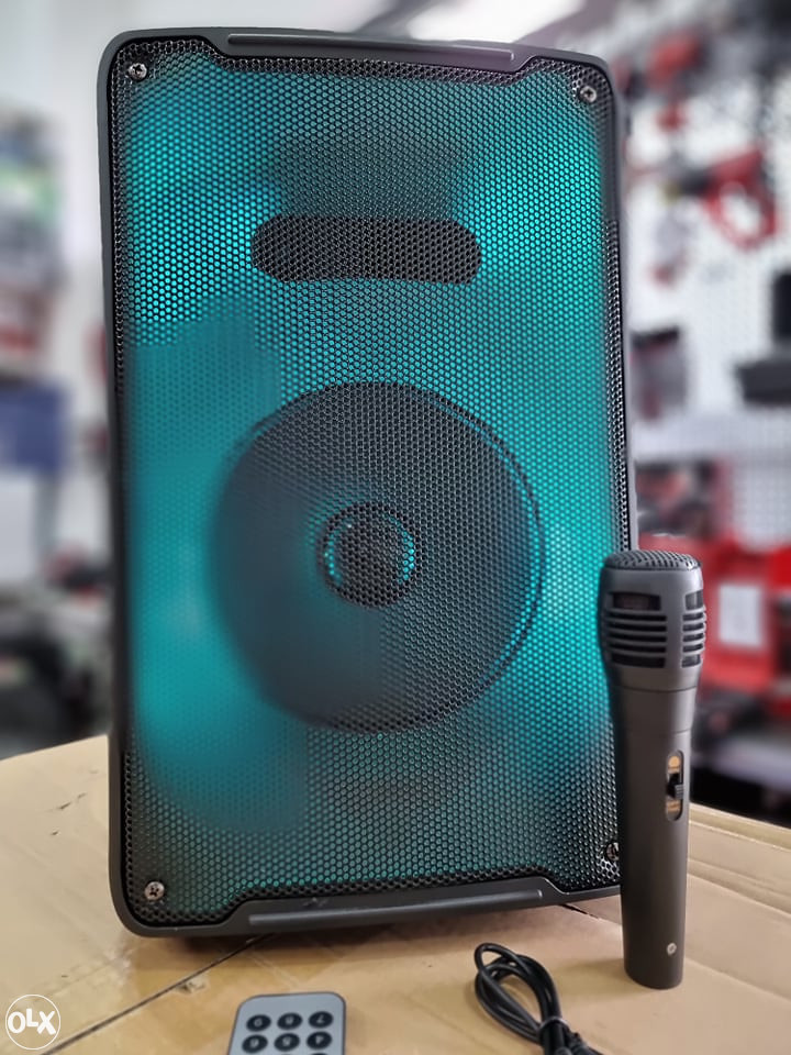 BLUETOOTH KARAOKE ZVUCNIK 1000W