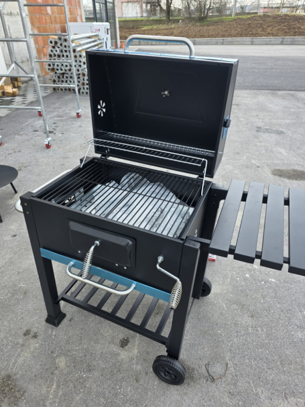 ROSTILJ GRILL GRIL NA DRVA I UGALJ SA TERMOSTATOM
