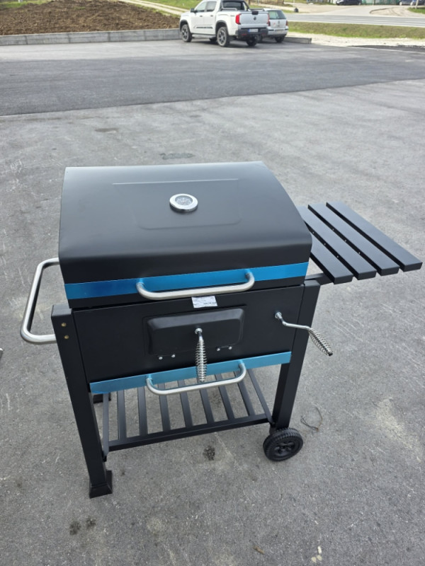 ROSTILJ GRILL GRIL NA DRVA I UGALJ SA TERMOSTATOM