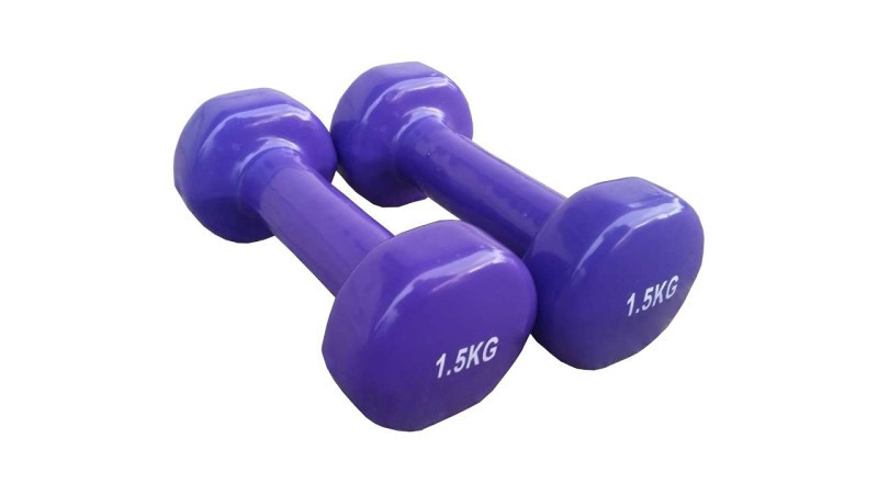 2x Plastificirane Bućice 1,5 kg Gumirane Bućica Teg Utezi 1 1,5kg