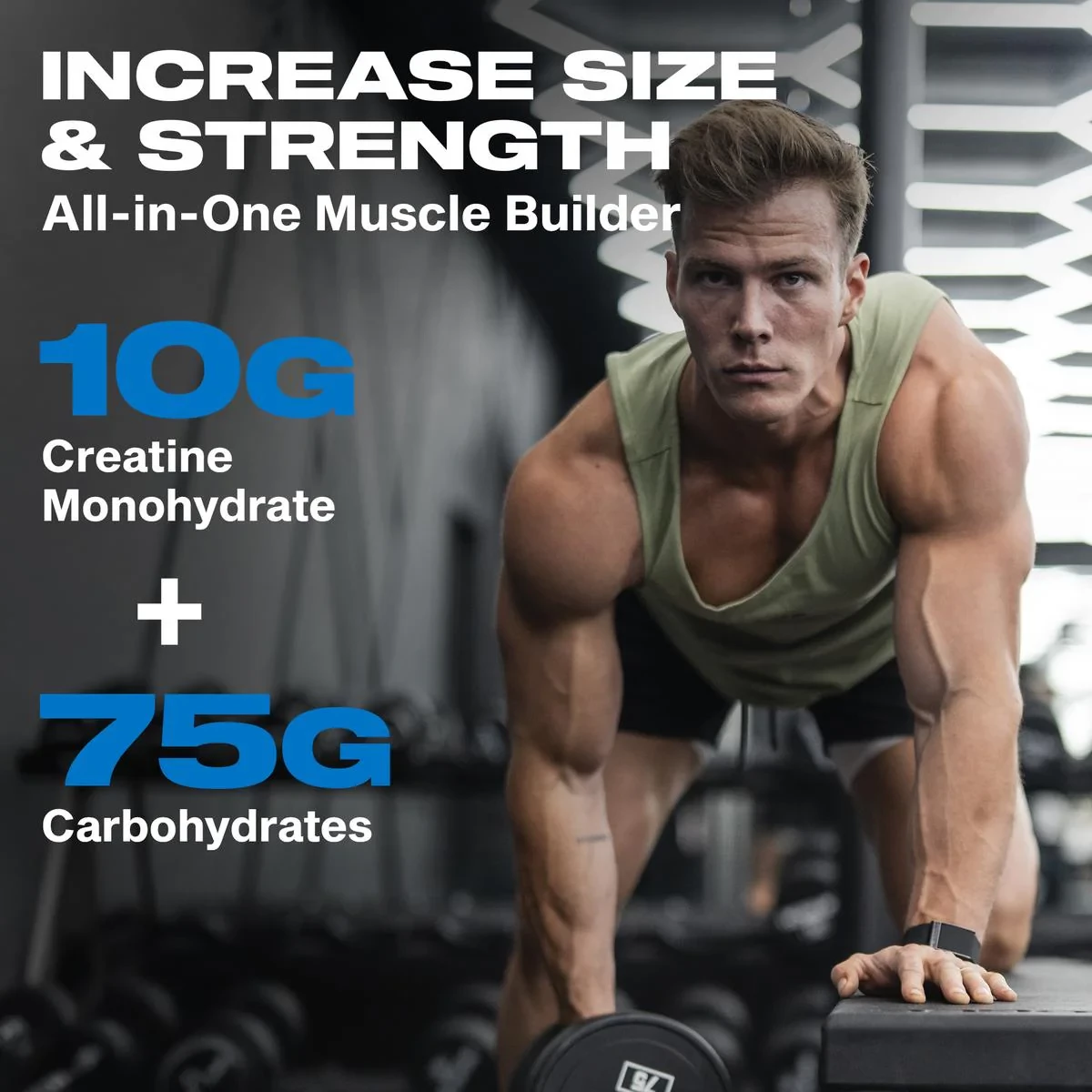 CELL-TECH  2.27kg Kreatin Muscle Tech Creatine Celltech Kreatini