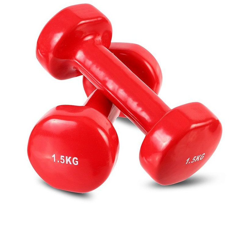 2x Plastificirane Bućice 1,5 kg Gumirane Bućica Teg Utezi 1 1,5kg
