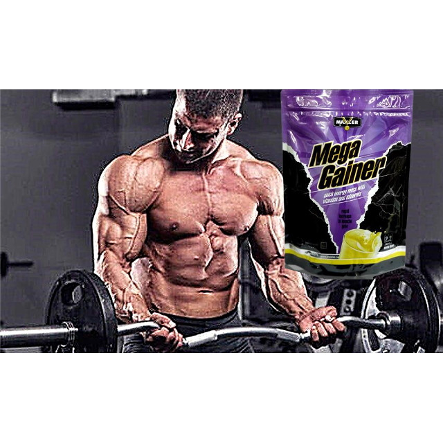 MEGA GAINER 1 kg Gejner 1000g Proteini Masa 1kg  Povećanje Mase