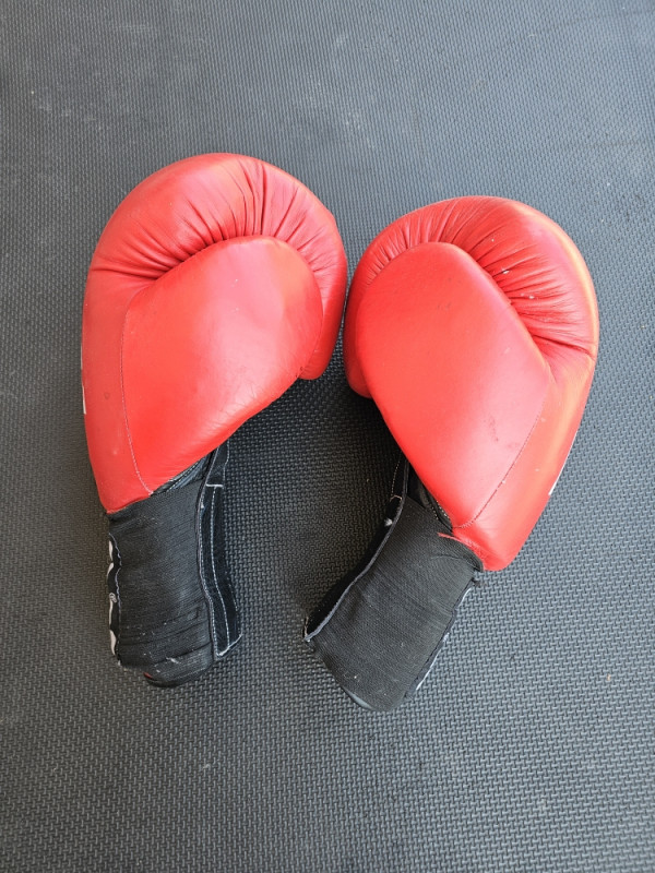 PRIDE Box Rukavice 18OZ za Trening Udaranje i Sparing  18 oz Kick