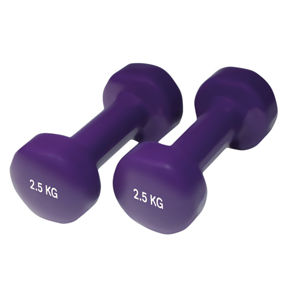 Gumirane Bućice 2.5 kg Bućica Teg Ljubi. 2kg Uteg Utezi