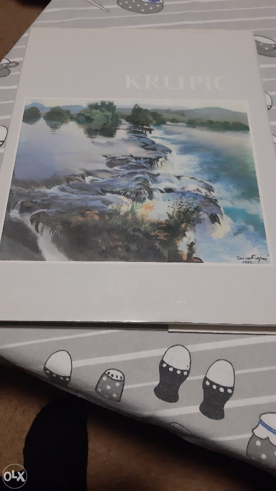 Enver Krupić Monografija