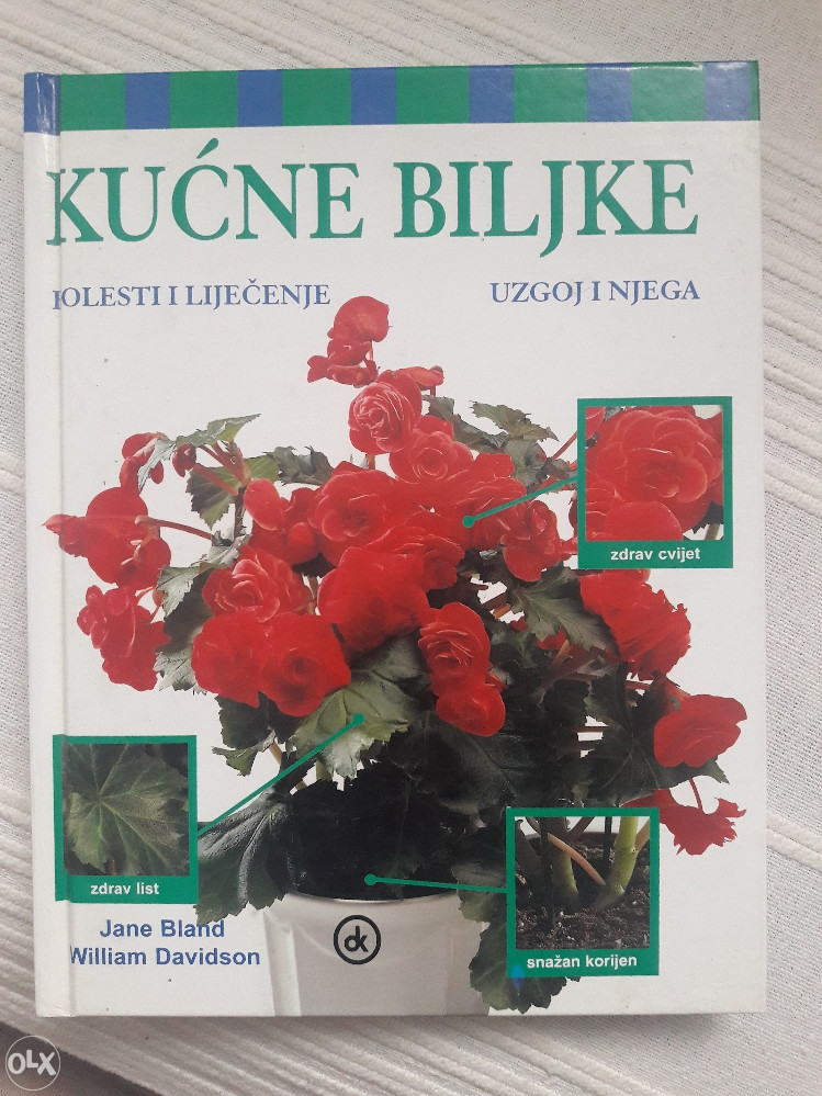 Kućne biljke