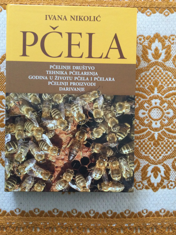 Pčela  Ivana Nikolić