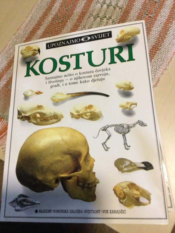 Upoznajmo svijet 1/4