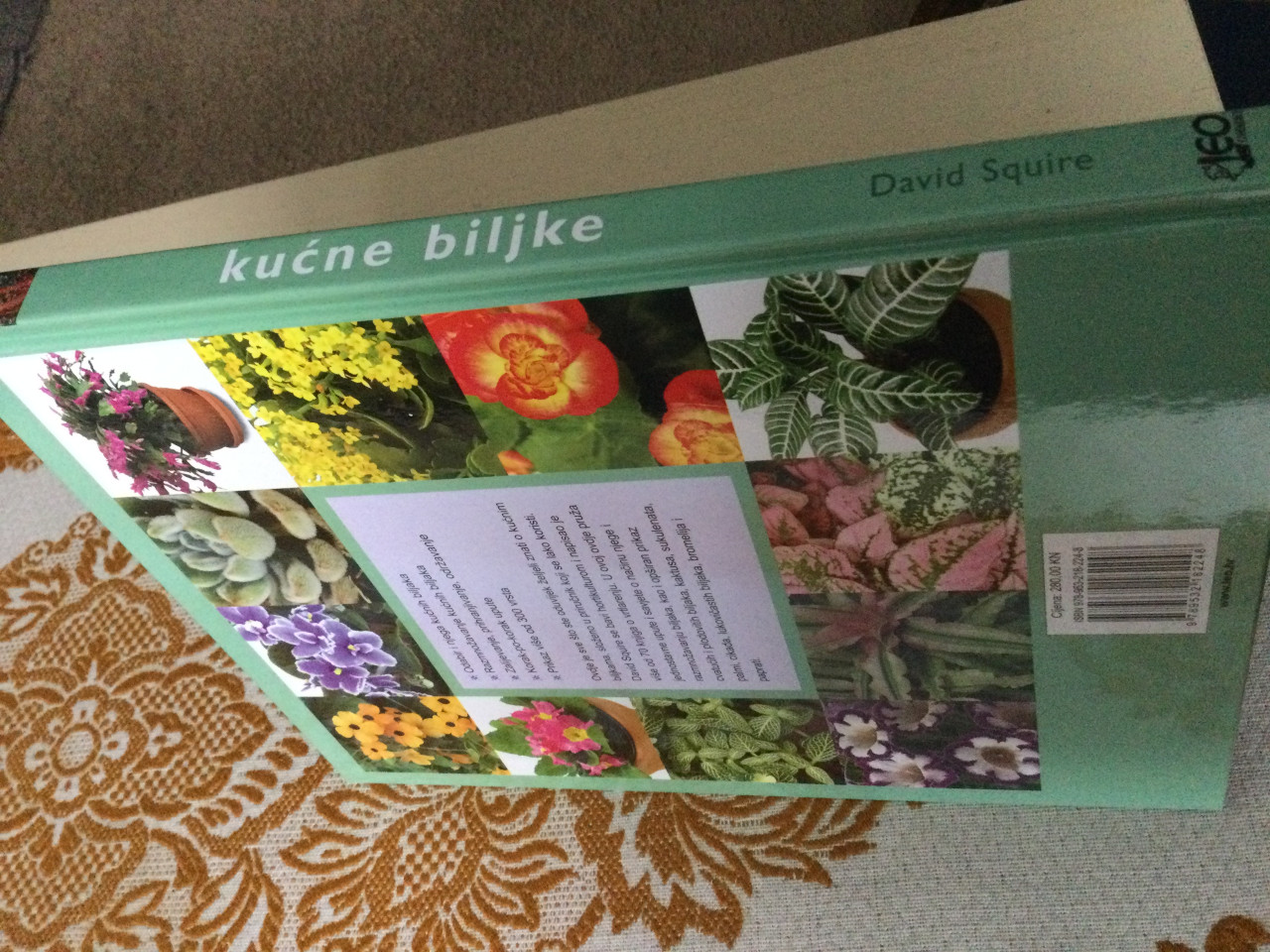 Kućne biljke