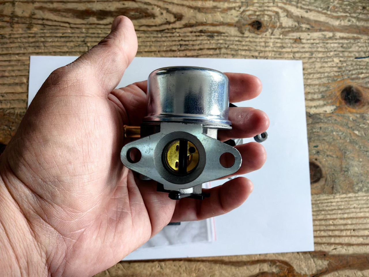 KARBURATOR BRIGGS & STRATTON SA SAUGOM  190 cc 799866 790845