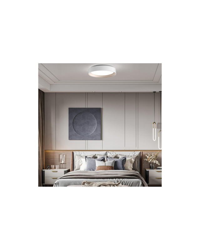 Plafonjera LED Dayana ML-210929201 16.5W Bijela