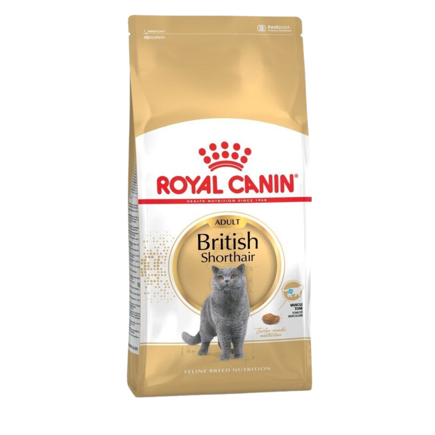 ROYAL CANIN British shorthair hrana za mačke - 2kg