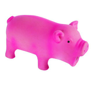 M-PETS Remy svinja