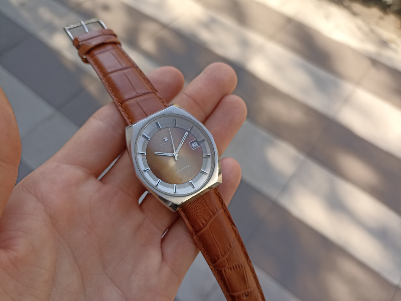 NAVI.BA EDOX AUTOMATIC BLUEBIRD SWISS MADE MEHANIČKI RUČNI SAT