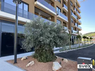 Veliki poslovni prostor 159 m2 s vrtom - Hills Residence 3