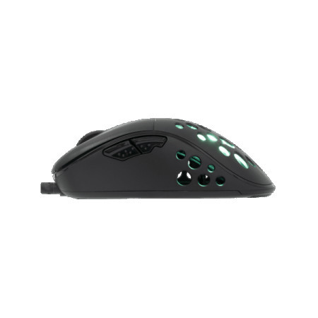 White Shark MIŠ GM-5013 AZRAEL 12.800 DPI Crni GAMING