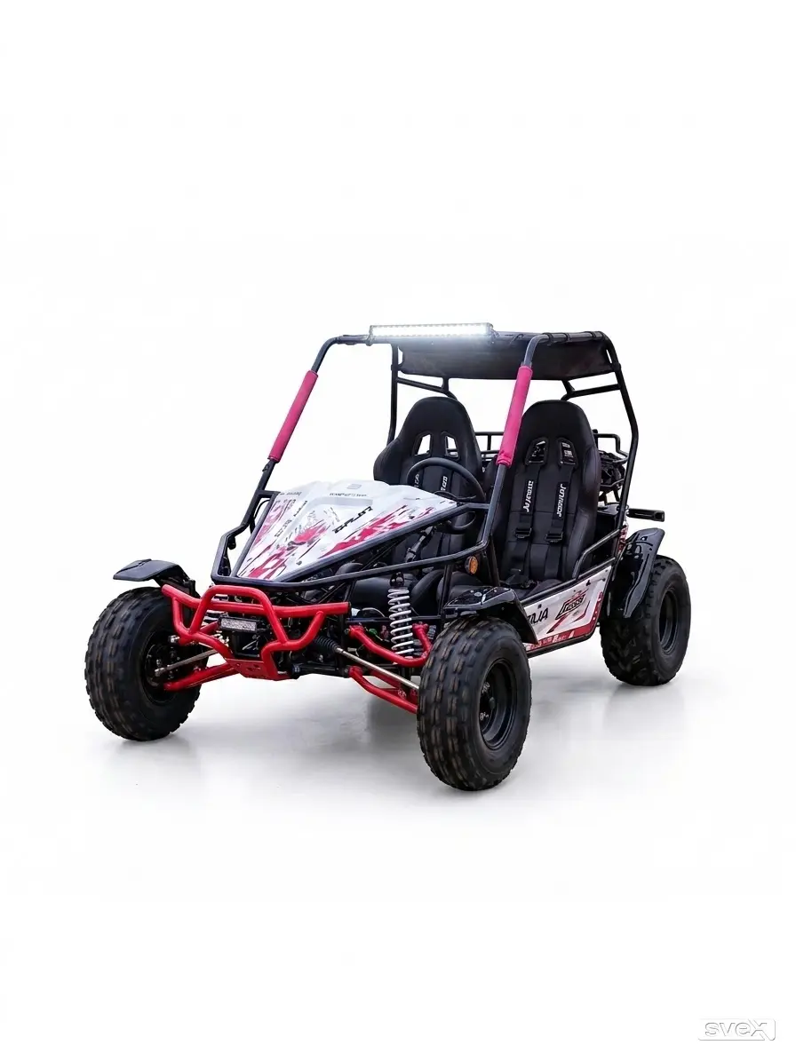 TAO MOTOR BUGGY BAJA SPORT 200