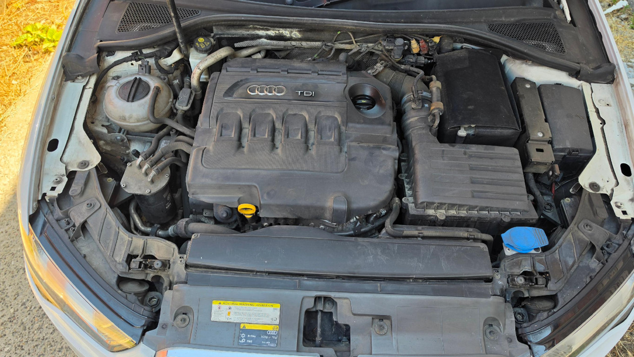 DIJELOVI Audi A3 8V (12-16) 2.0 110kW 2014