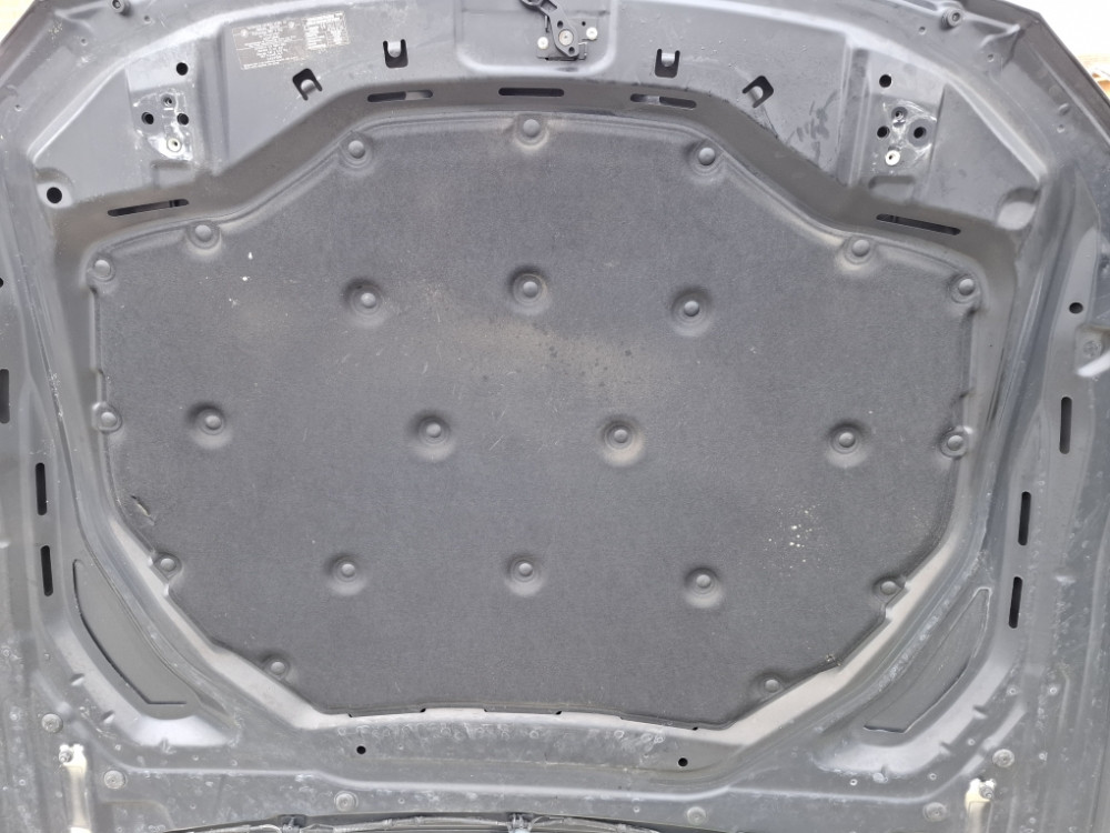 ZASTITA HAUBE BMW 7 F01 F02