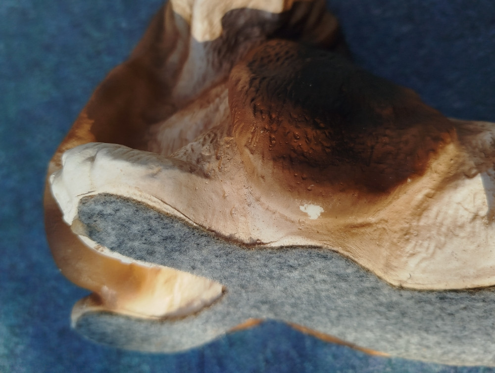 Figura psa Baset Basset Hound dekorativna keramička/resin figura