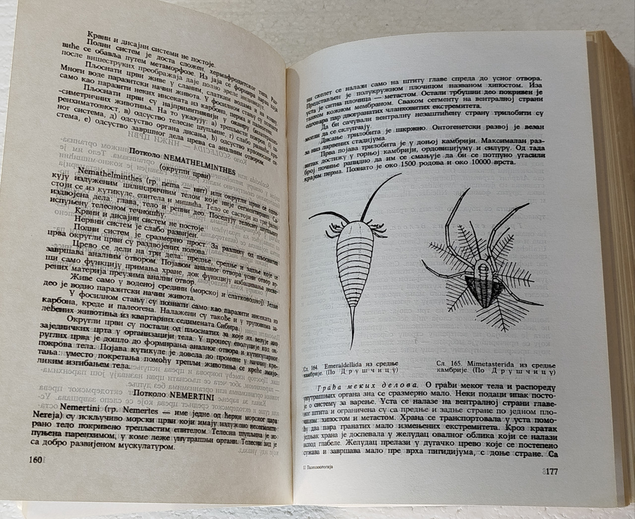 Paleozoologija nauka knjiga Mitrović Pavlović