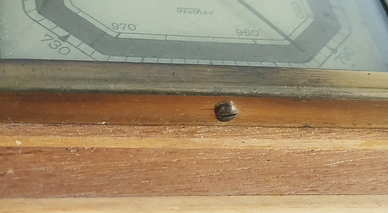 FISCHER barometar i termometar stari vintage