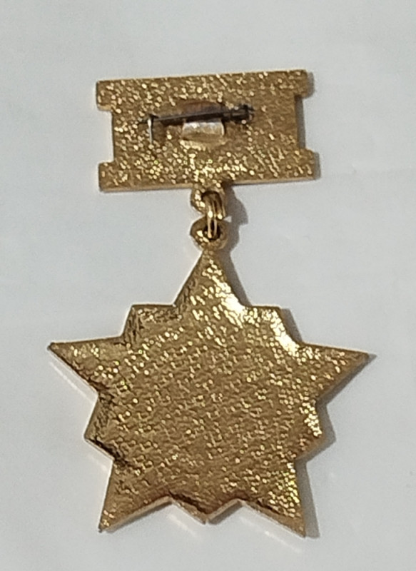 Sovjetska mongolska medalja Halkin Gol vojno odlikovanje orden