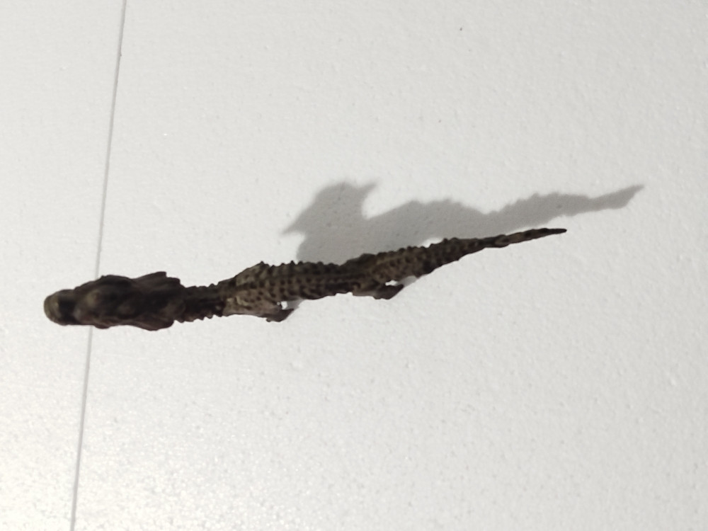 ZMAJ stara figurina metalna antika raritet feng shui