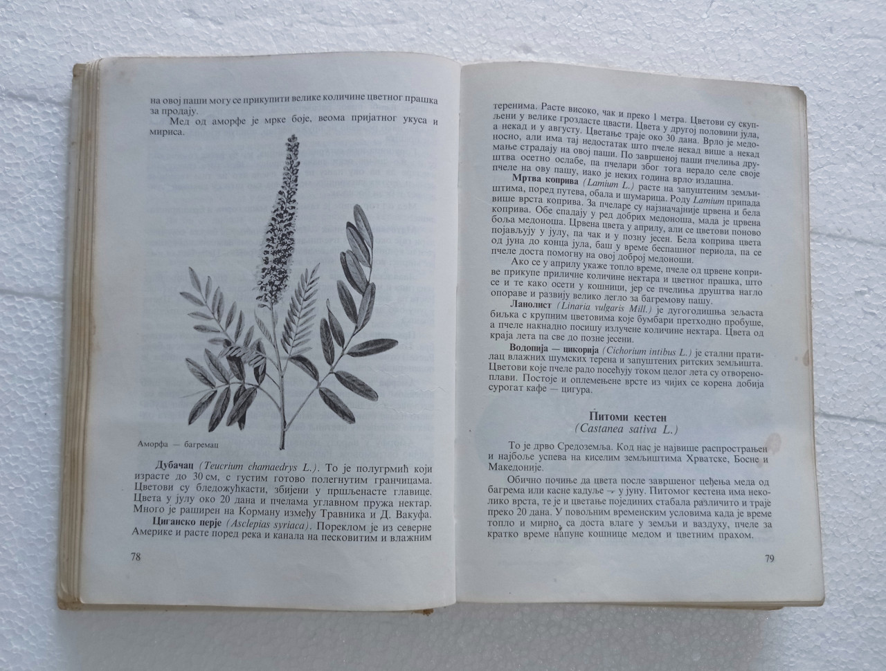 Praktično Pčelartsvo Vojin Todorović knjiga 1976