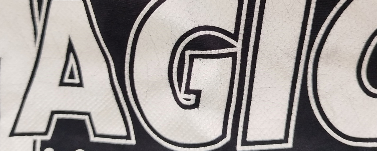Chicago Magic Soccer Club Adidas trenerka gornji dio