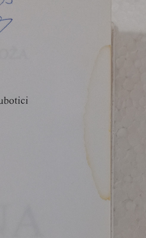 Međunarodna ekonomija Bodiroža Acin udžbenik