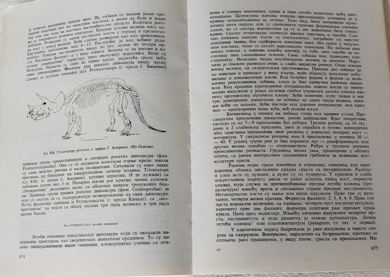 Paleozoologija nauka knjiga Mitrović Pavlović