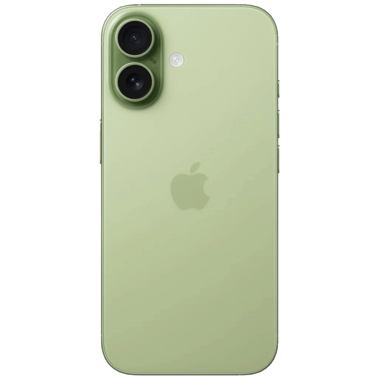 Apple iPhone 17 8 GB 256 GB  Sage