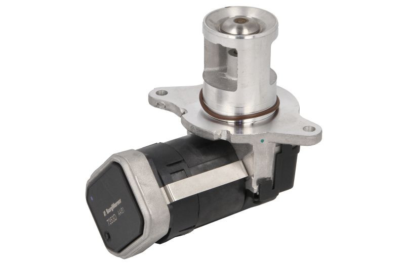 BORG WARNER VENTIL ZA RECIRKULACIJU VIANO/VITO W639