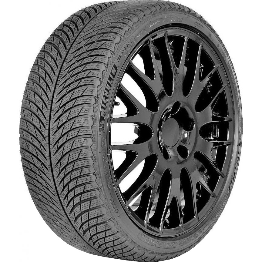 MICHELIN Pilot Alpin 5 315/30R21 105V XL