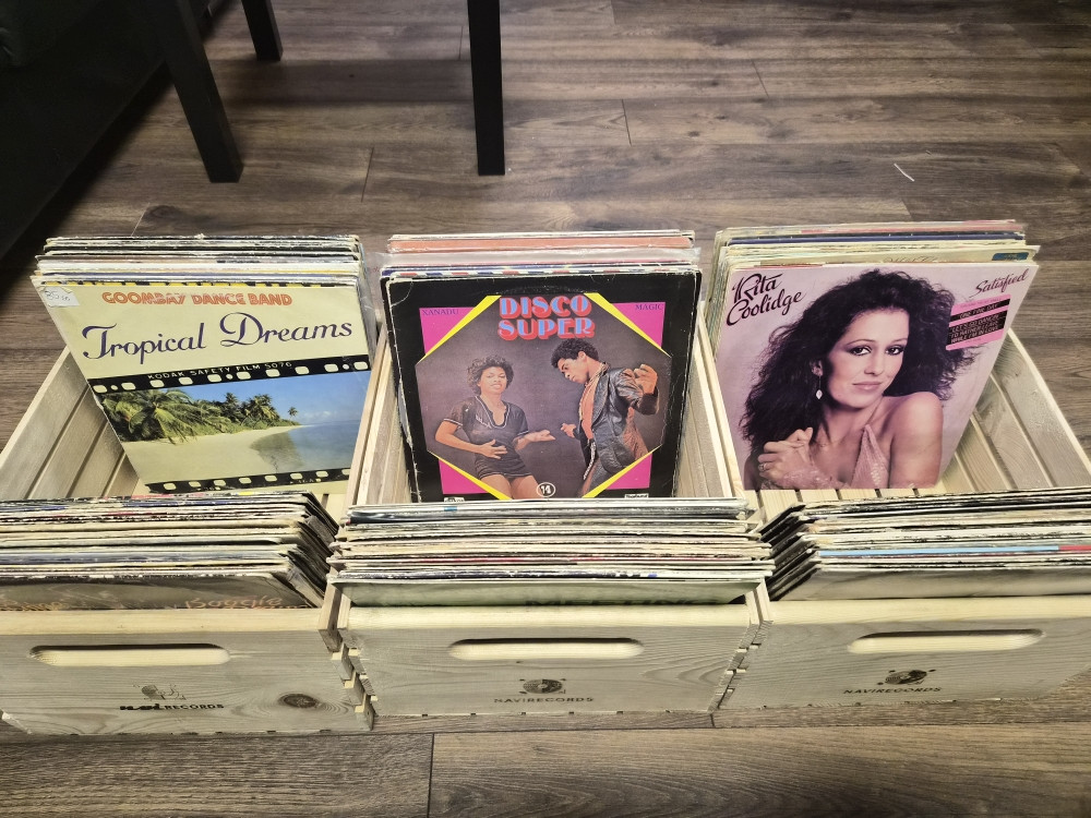 LOT LP GRAMOFONSKIH PLOČA 131 KOMAD