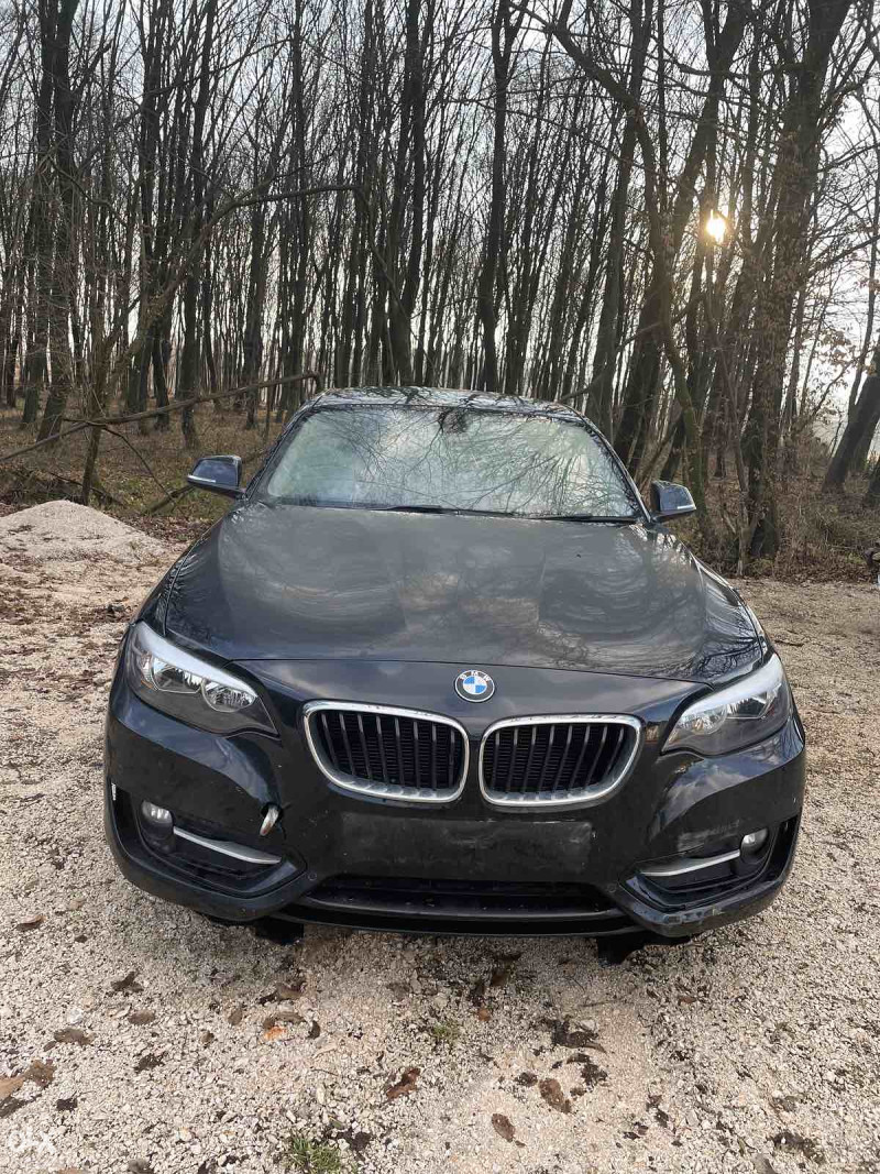 BMW 218 F22 2017 u dijelovima | BMW Dijelovi