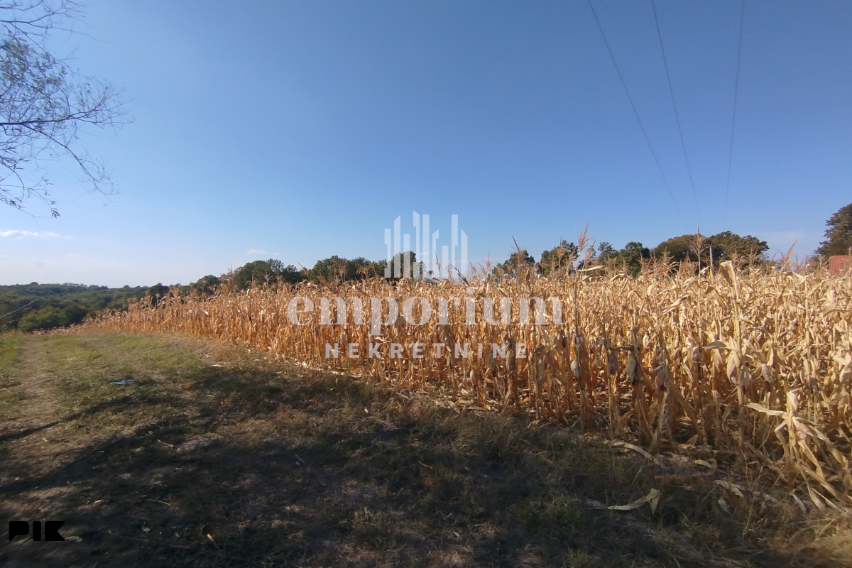 Građevinska parcela 18.082m uz glavni put ID:2646/EN