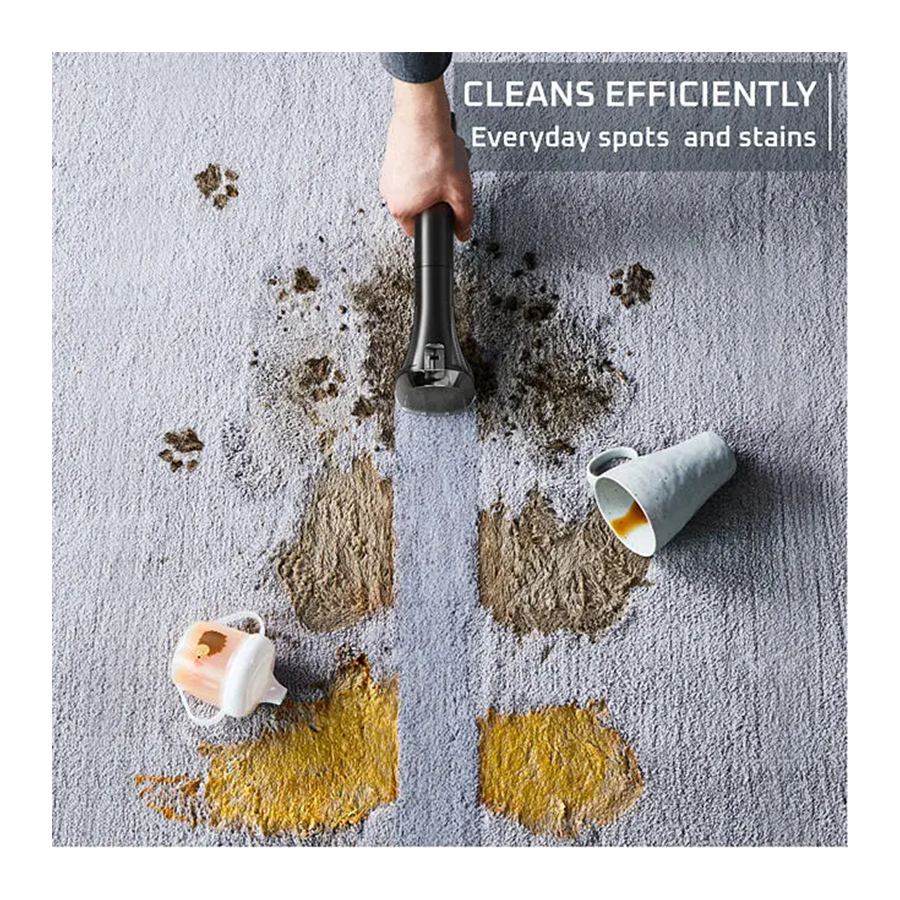 Rowenta Usisivač za dubinsko čišćenje IN5012F0 Clean it