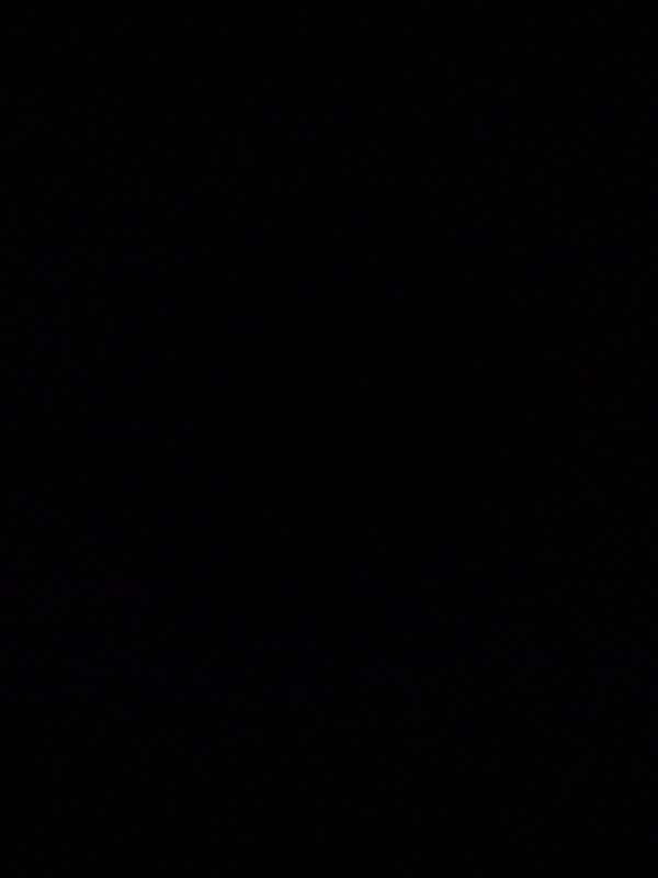Dijelovi Antena Kamera Flet Zvucnik Mikrofon Huawei Mate 9 Pro