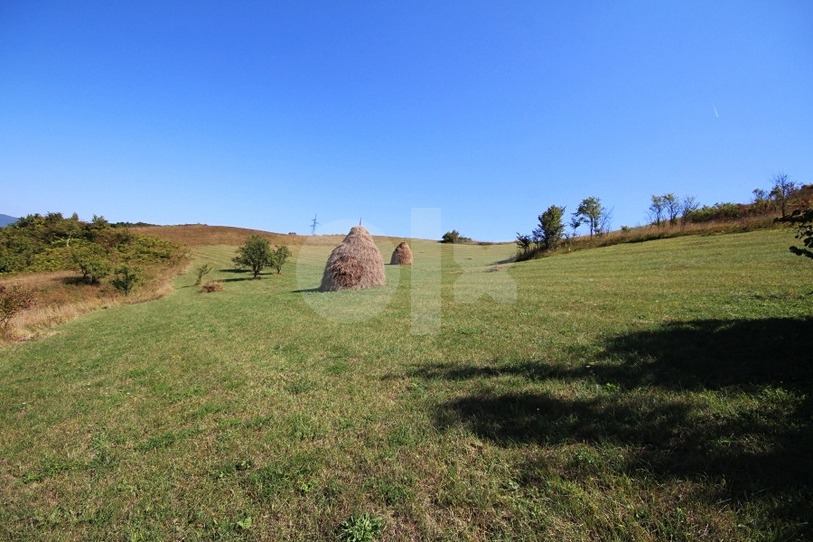 Dvije kuće i veliko imanje, Zenica P=18120m2