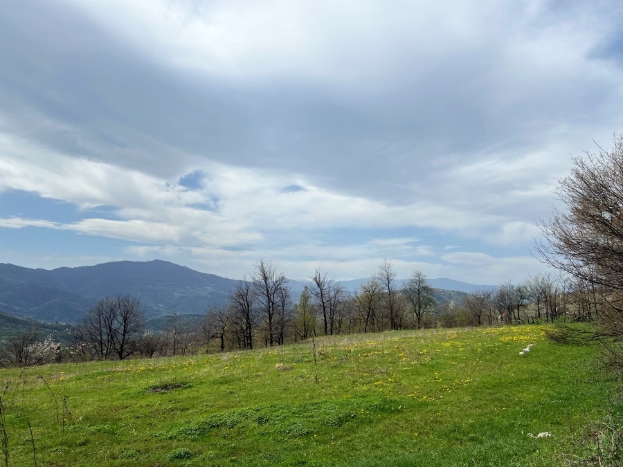 Zemljište, Mošćanica, Zenica, P=3852m2