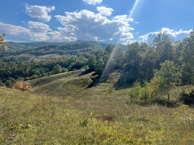 Zemljište, Konjevići, P=16471m2