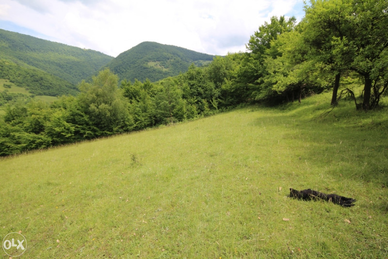 Zemljište Smetovi, vikend naselje P=6409m2