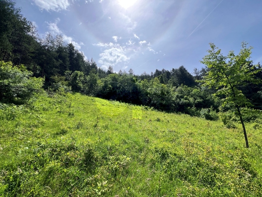 Zemljište, Gnjusi, Zenica, P=3304m2