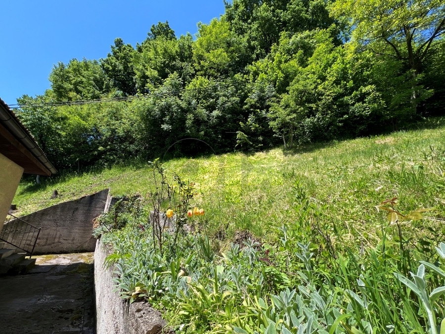 Kuća sa zemljištem, Ivana Cankara, Zenica