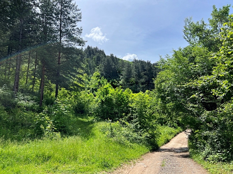 Zemljište, Gnjusi, Zenica, P=3304m2